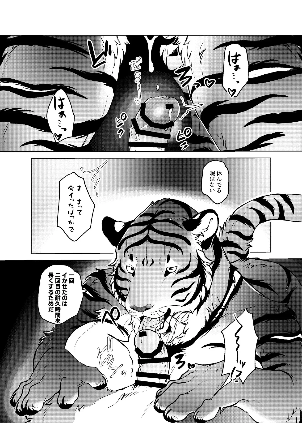 Image #30