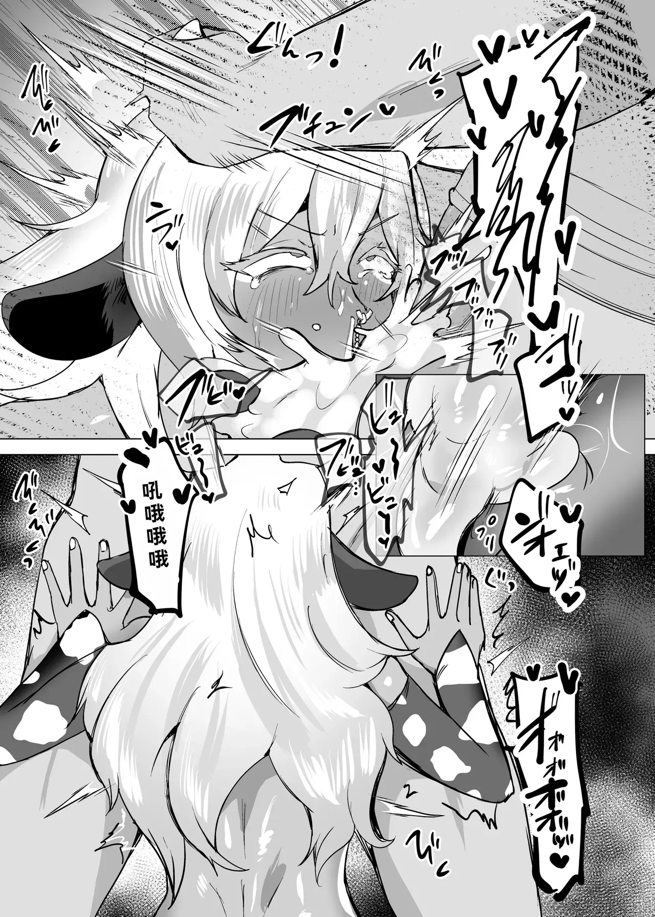 Image #11