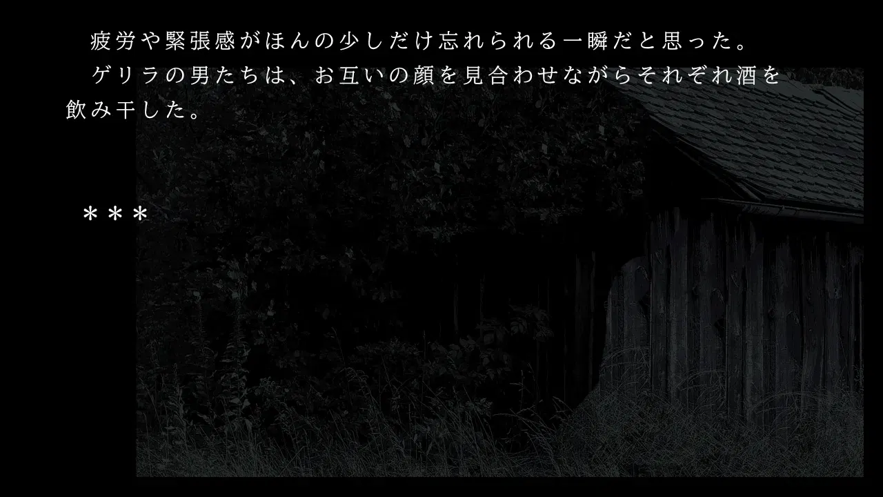 Image #12