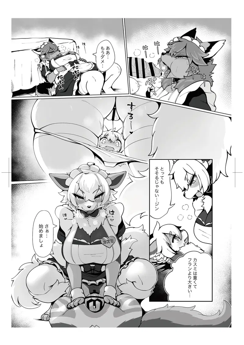 Image #12