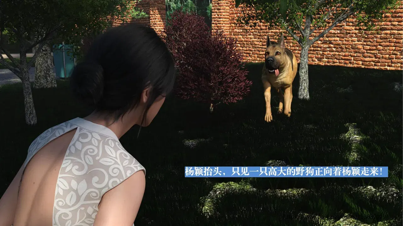 Image #12