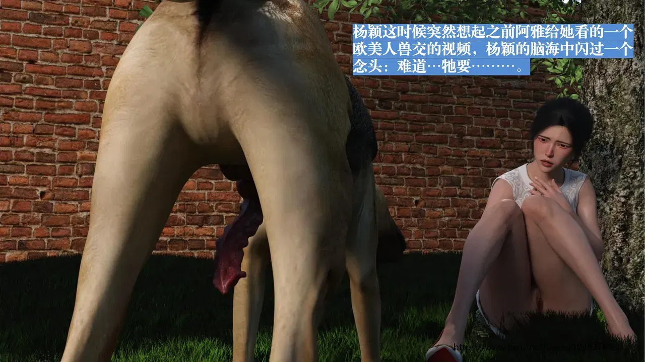 Image #17