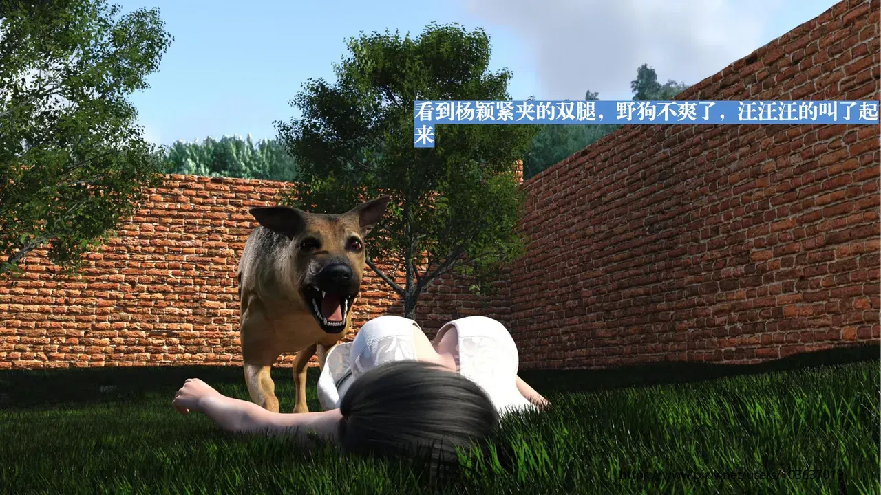 Image #34
