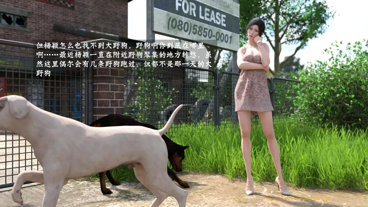 Image #338