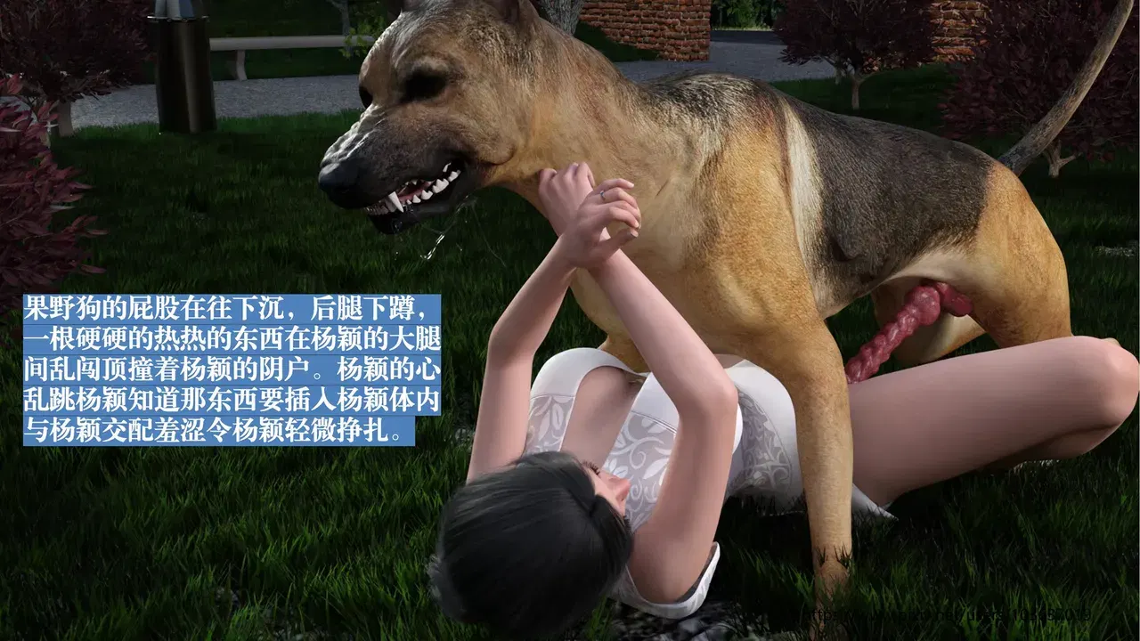 Image #52