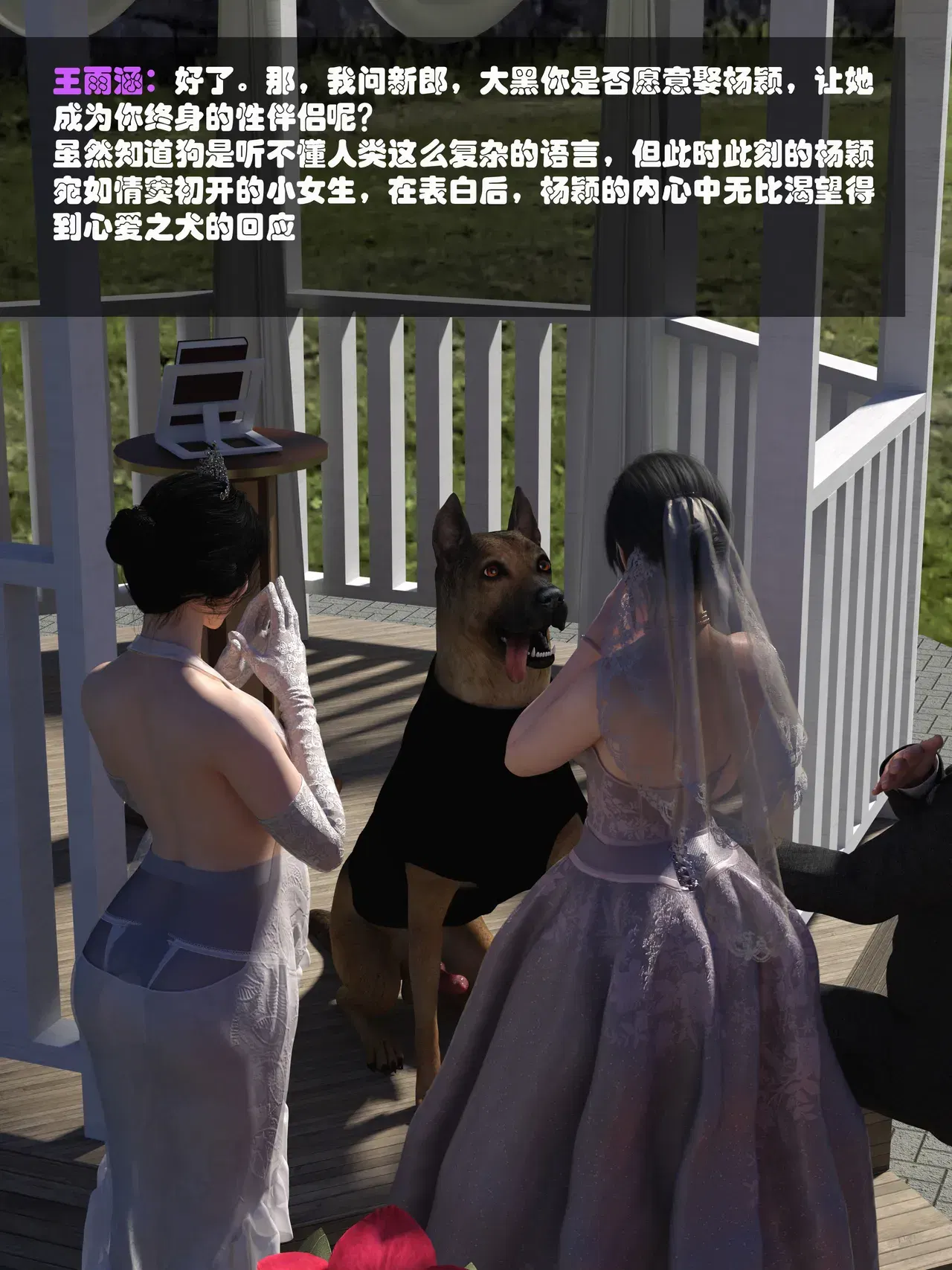 Image #794