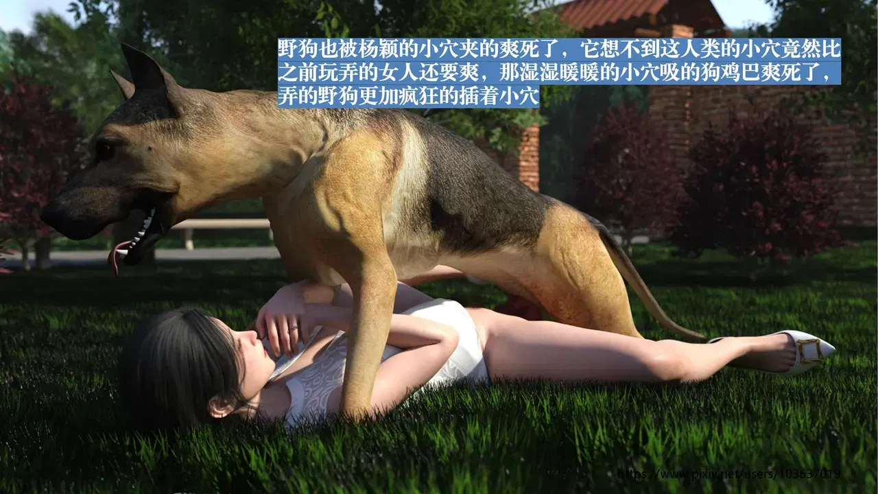 Image #86