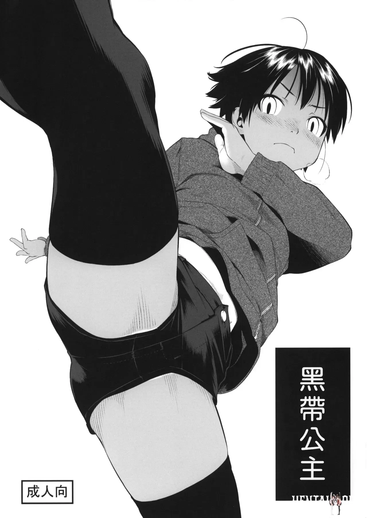 (C87) (Grupo Hinoran (Wang-Pac)) Kuroobi Princess COMITIA 112 - Folheto (em chinês) - Galeria Hentai - Image 1