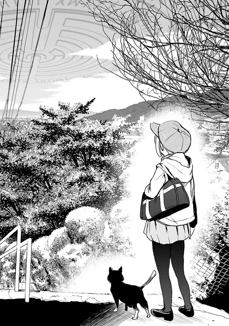 Image #13