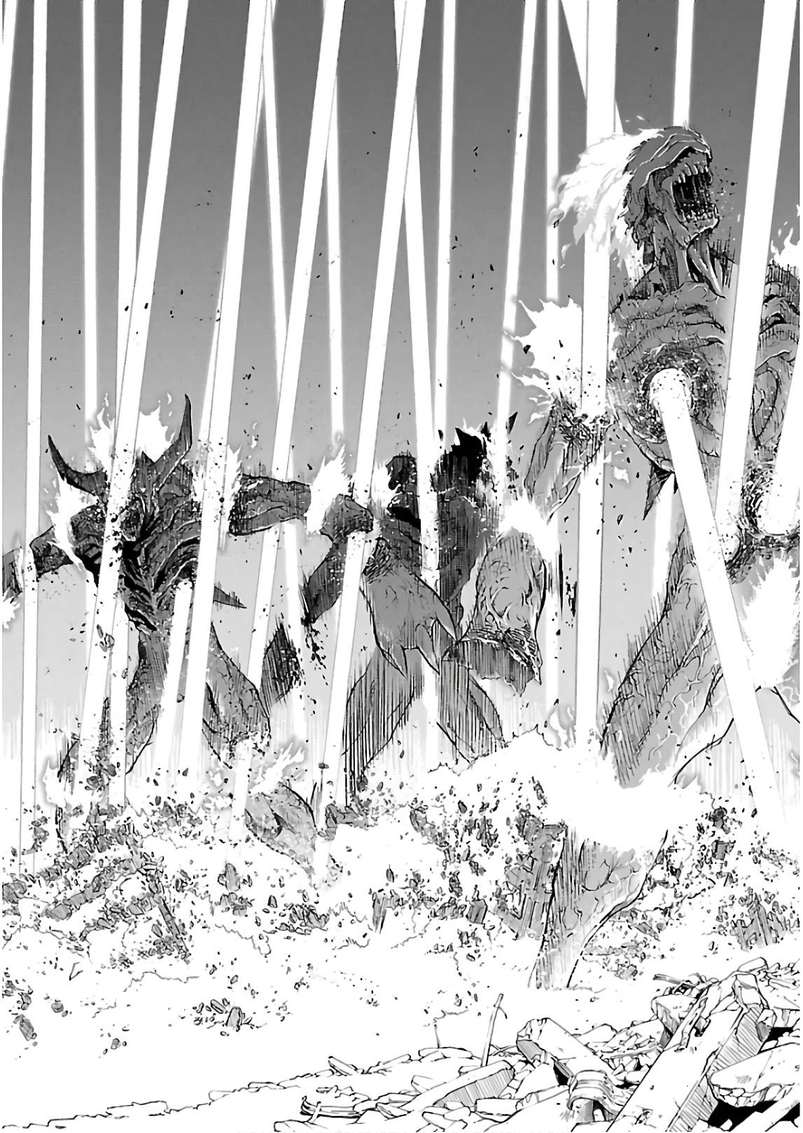 Image #12