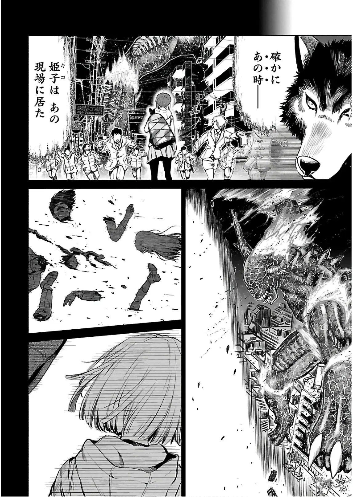 Image #43