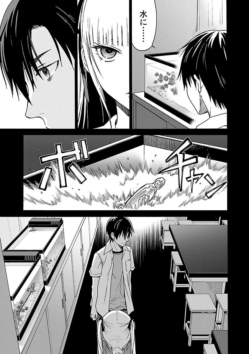 Image #12