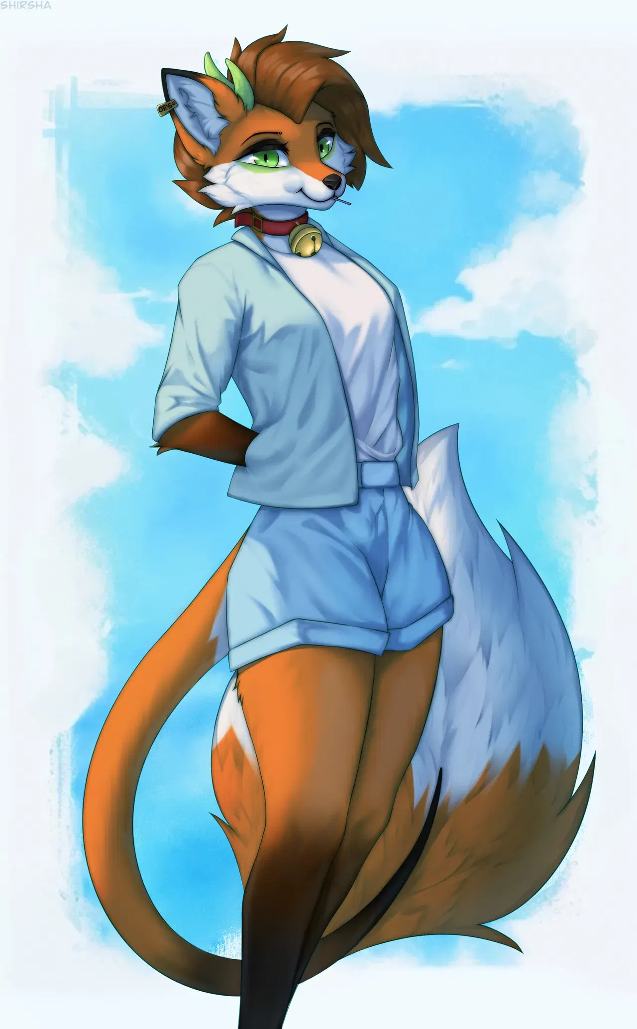 Image #257