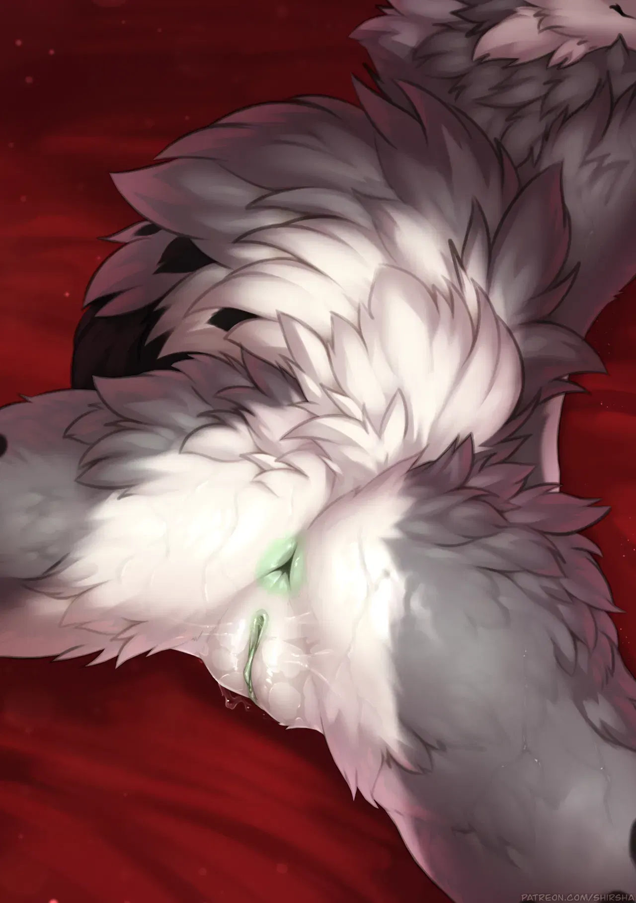 Image #77