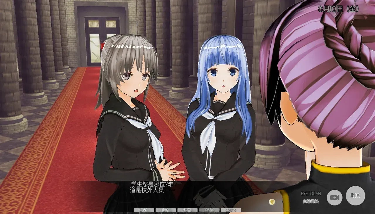 Image #10