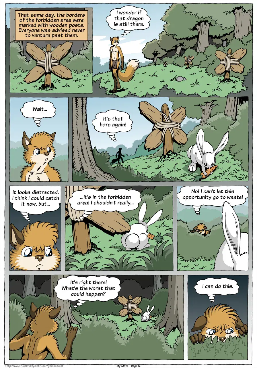 Image #14