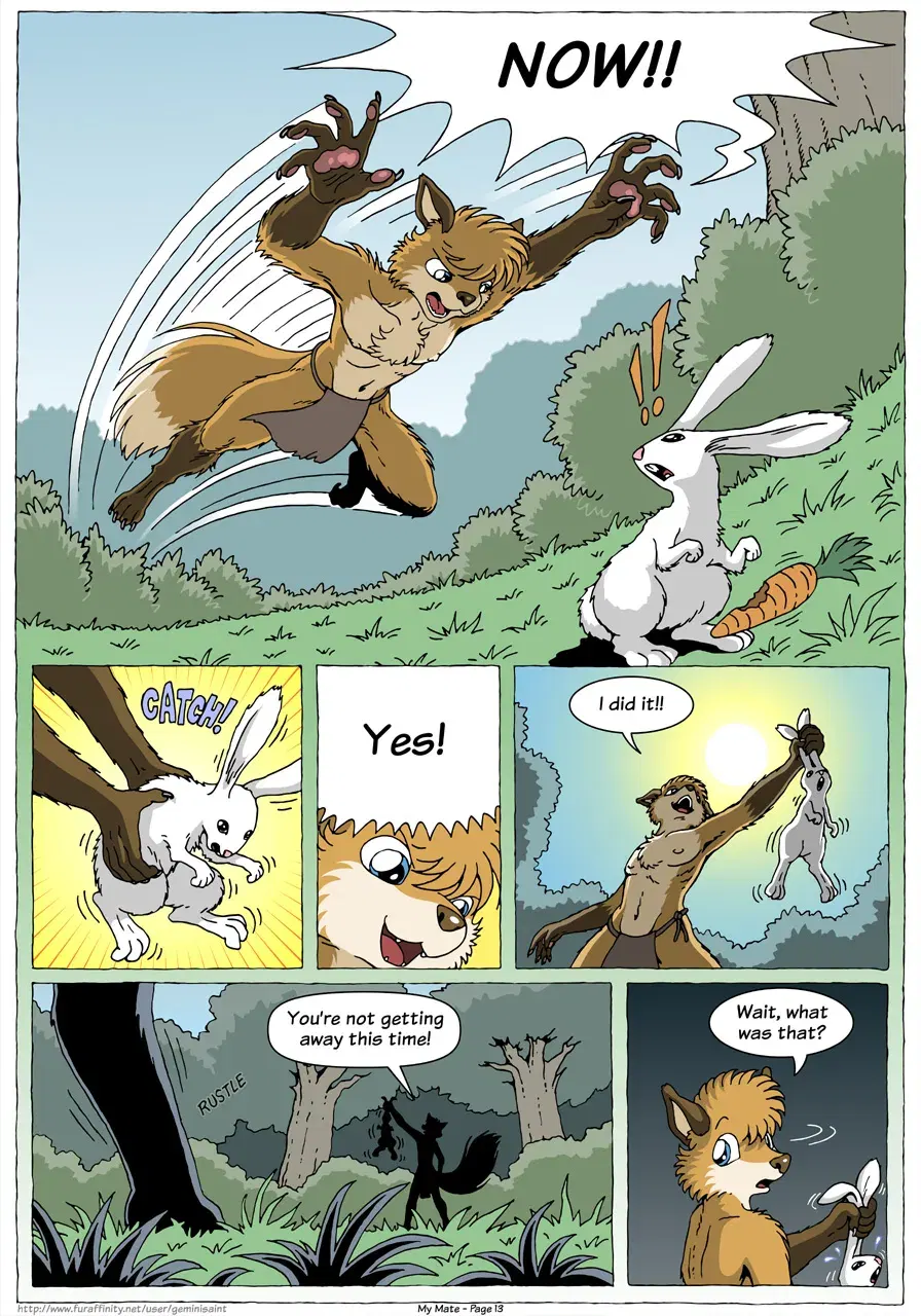 Image #15