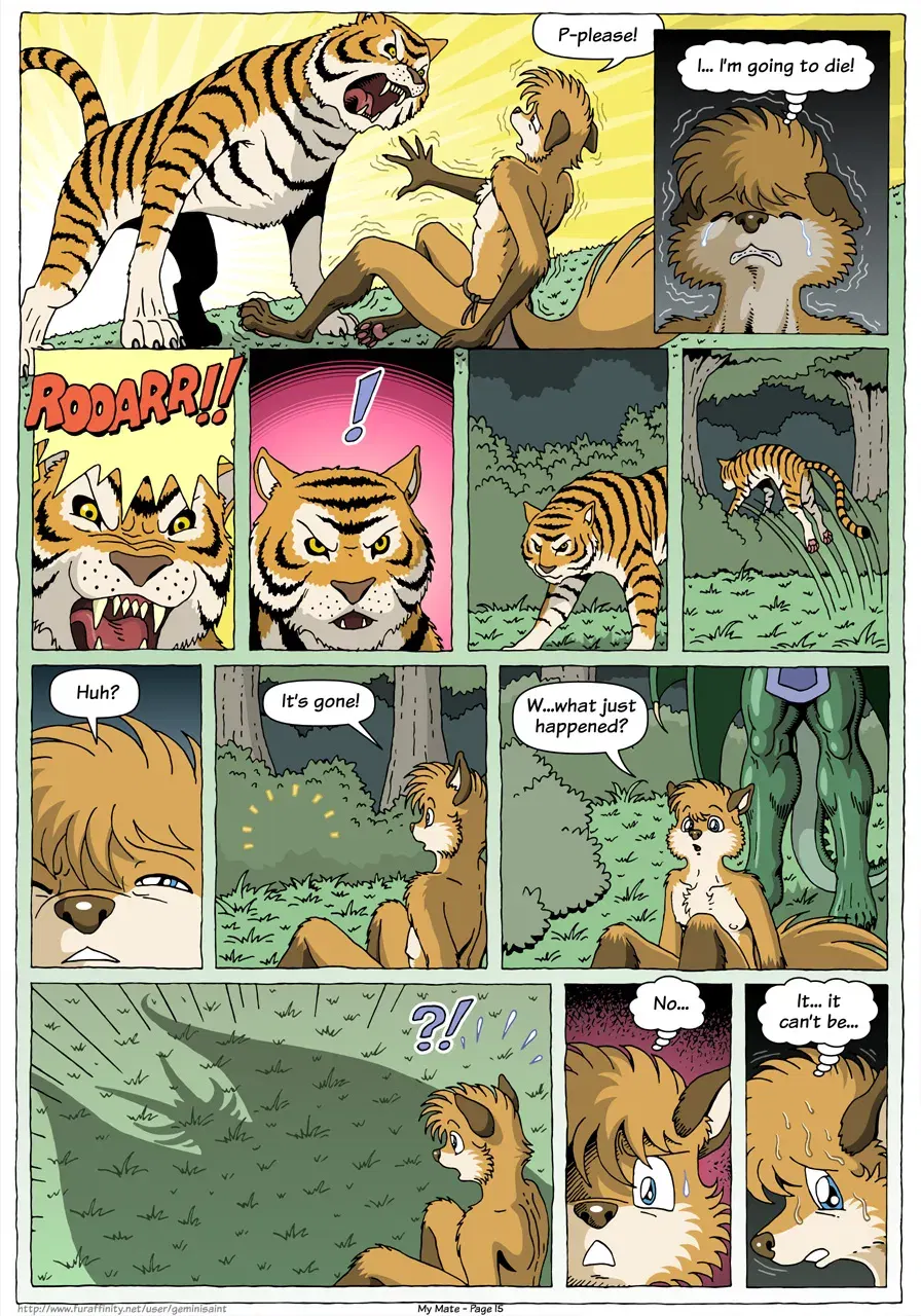 Image #17