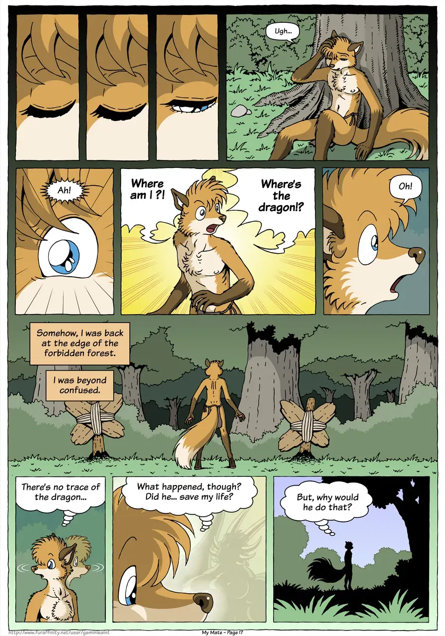 Image #19
