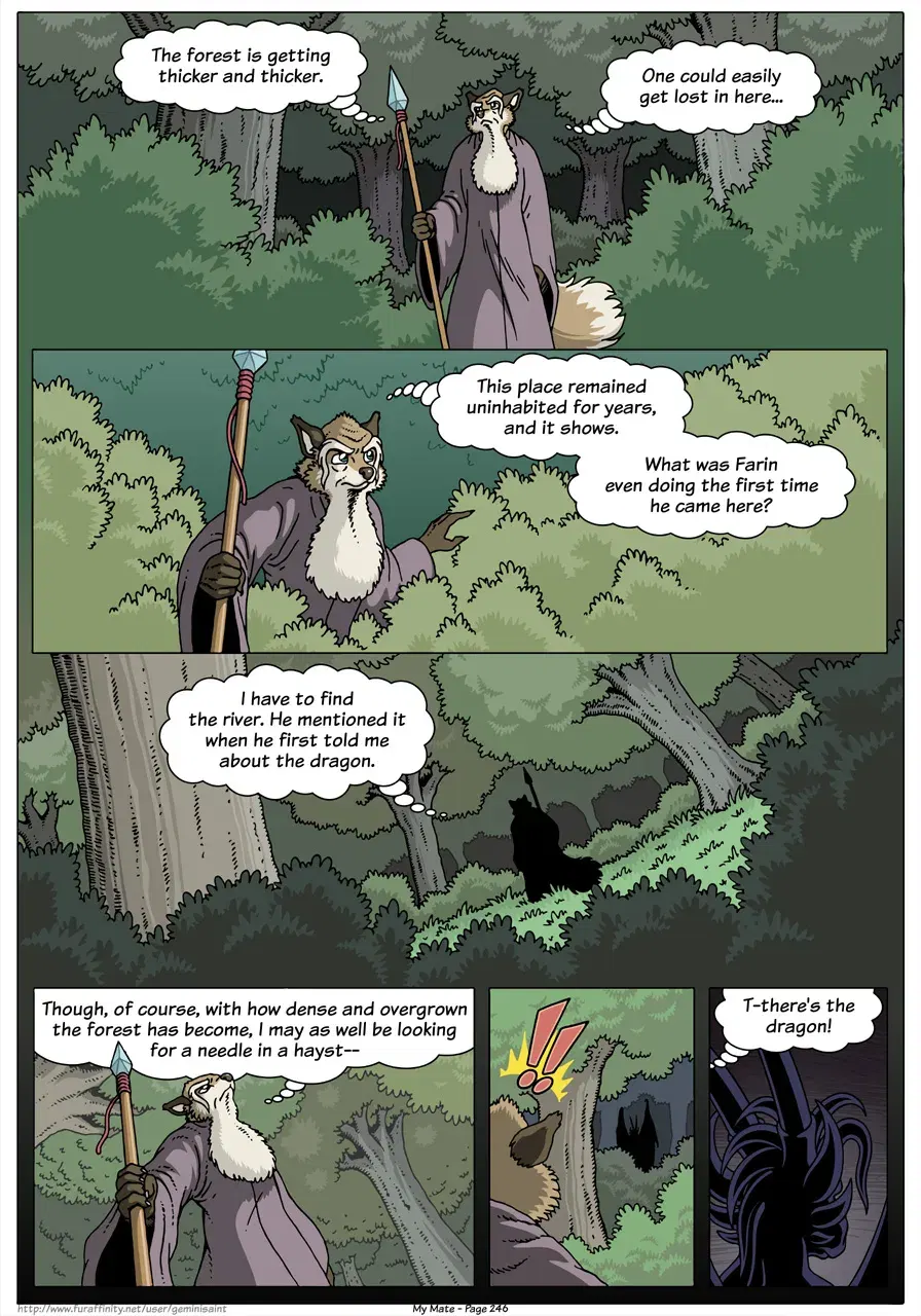 Image #248