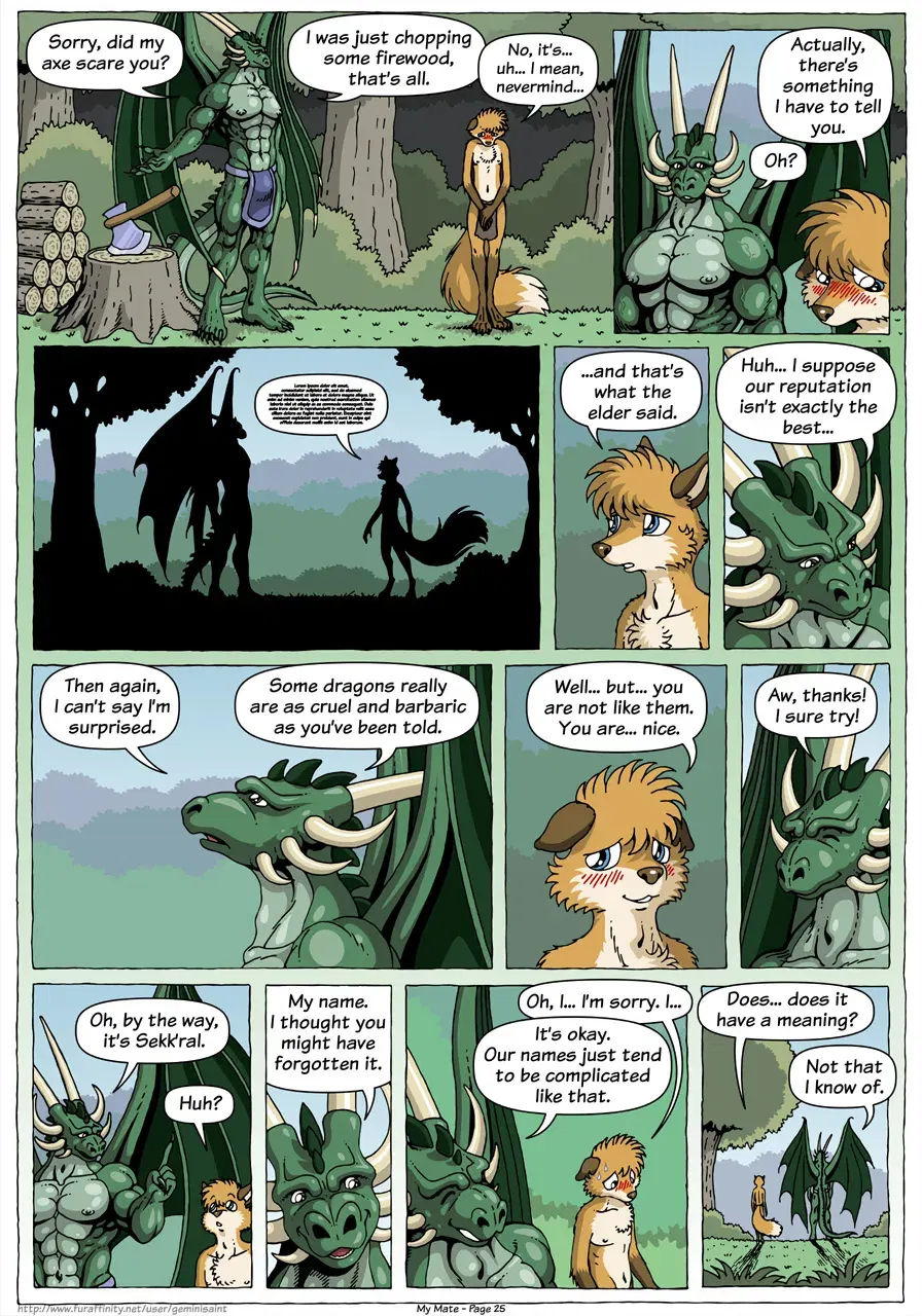 Image #27