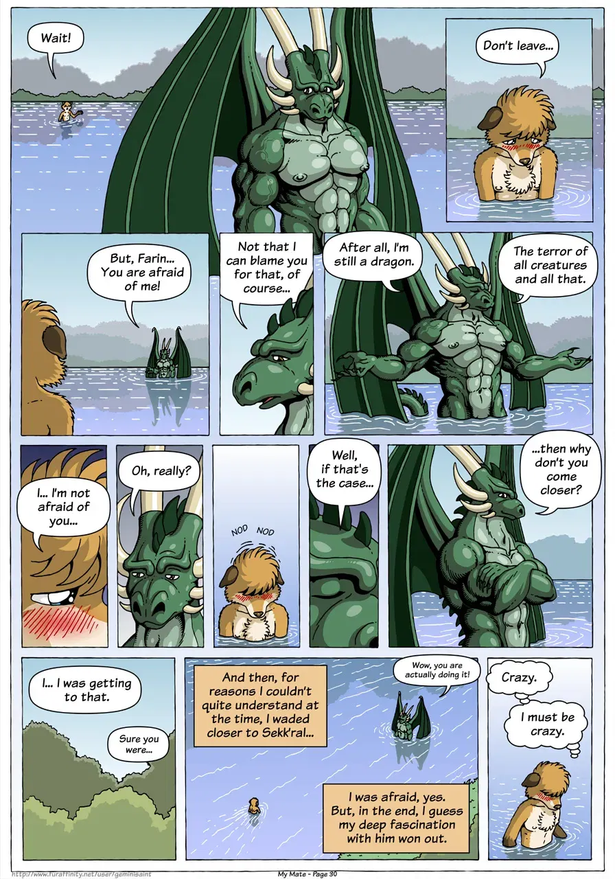 Image #32