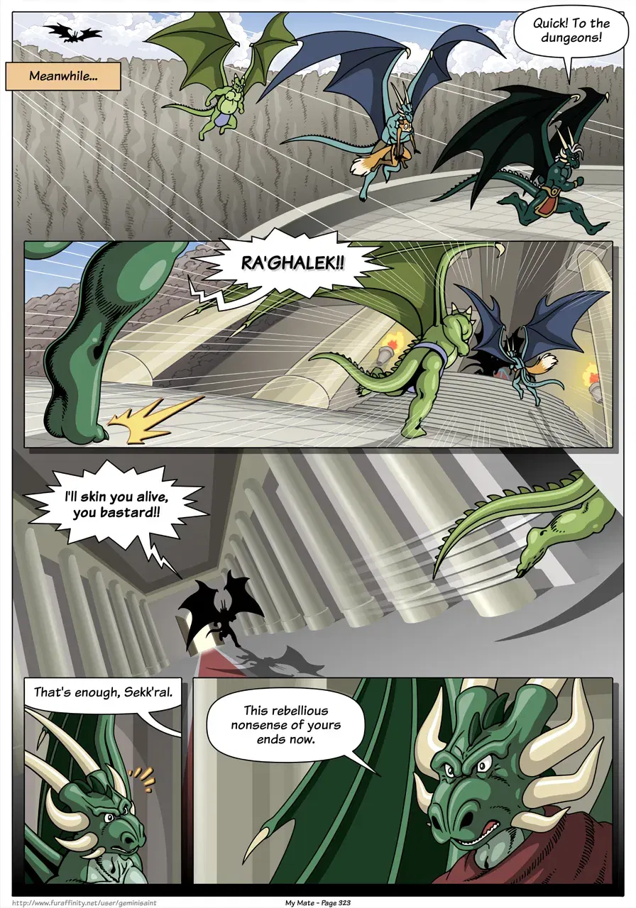 Image #325