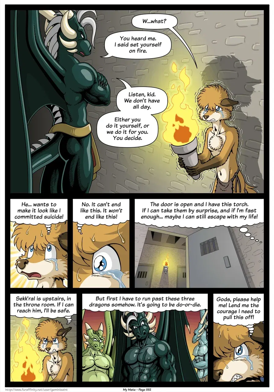 Image #334