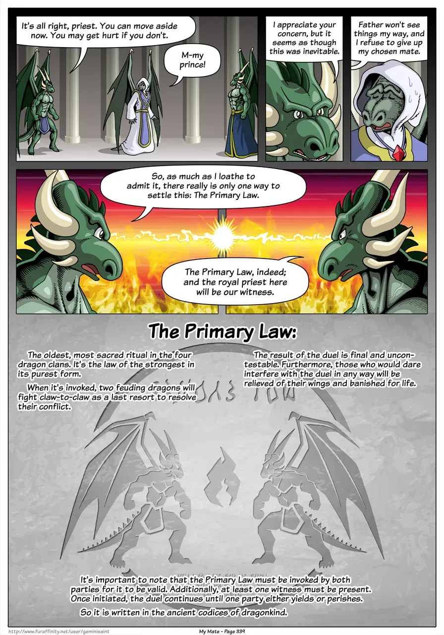 Image #341