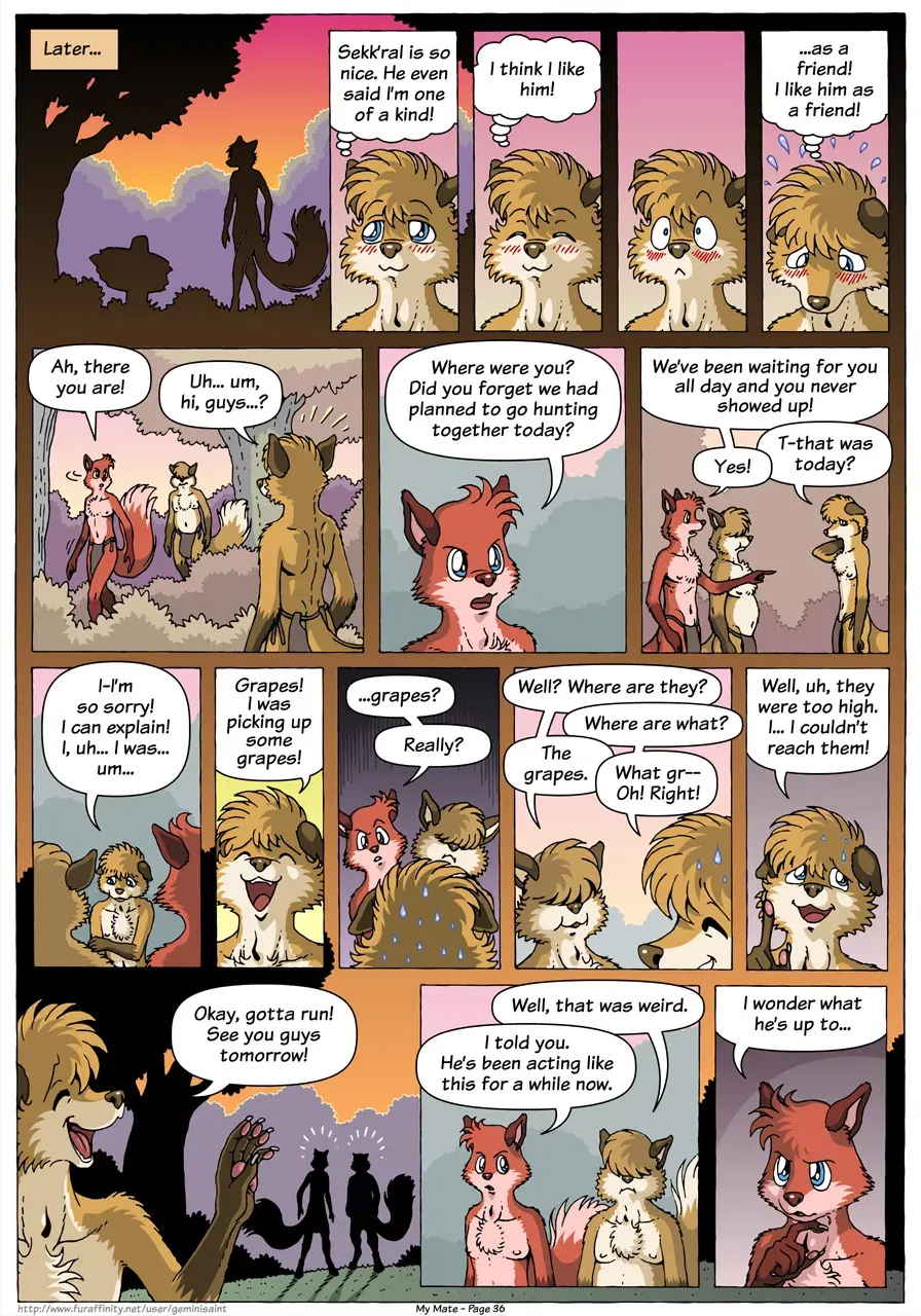 Image #38