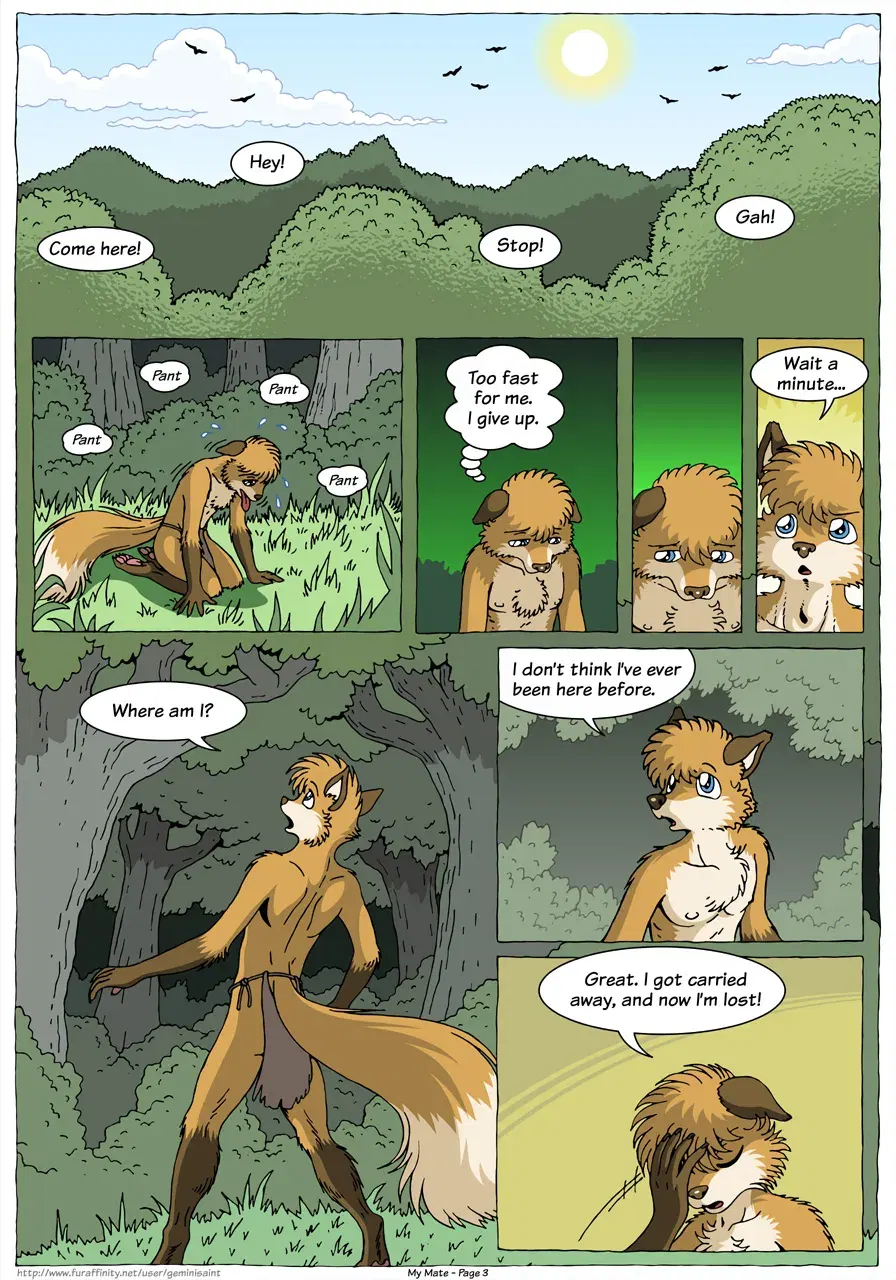 Image #5
