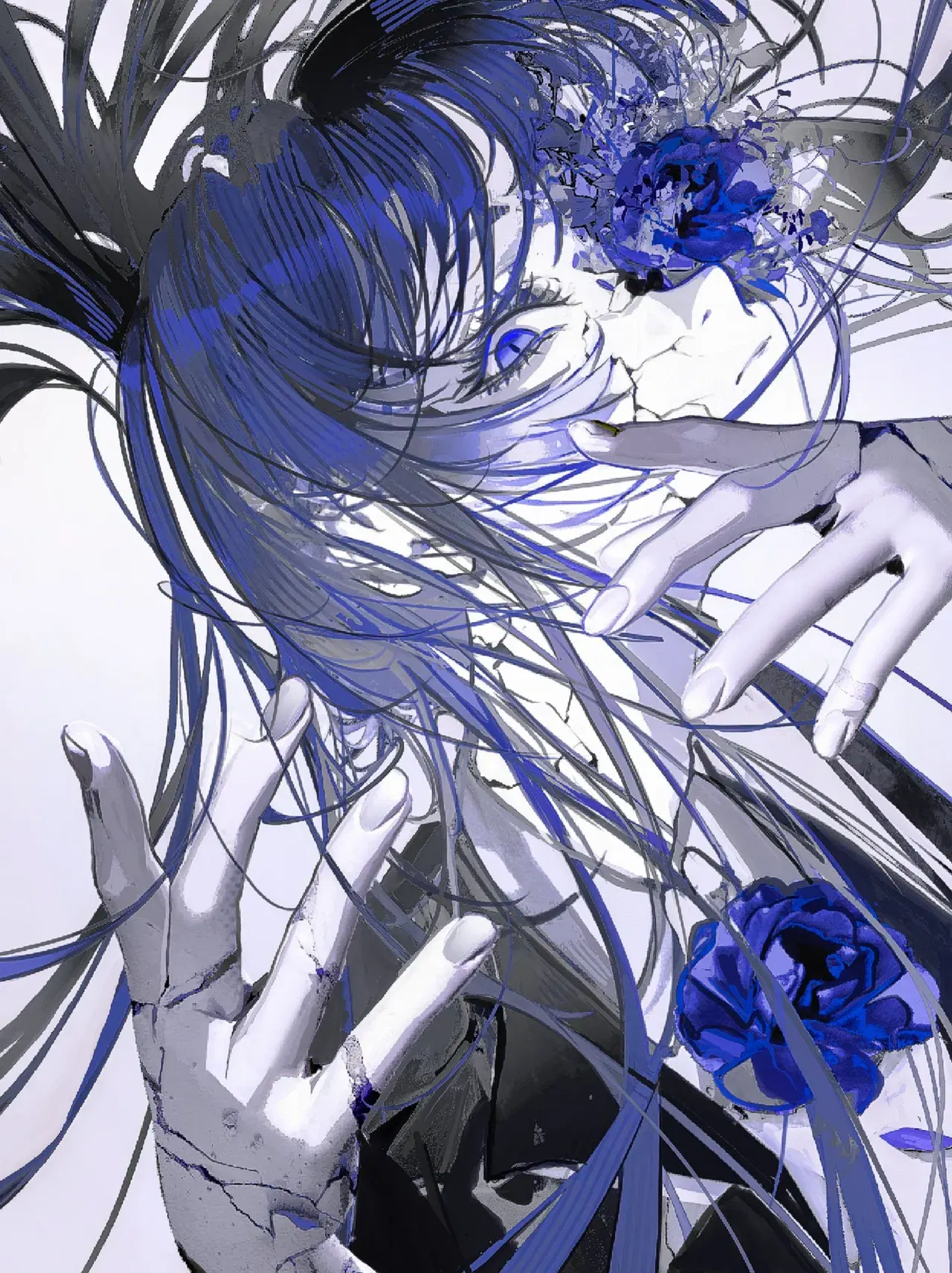 Image #311