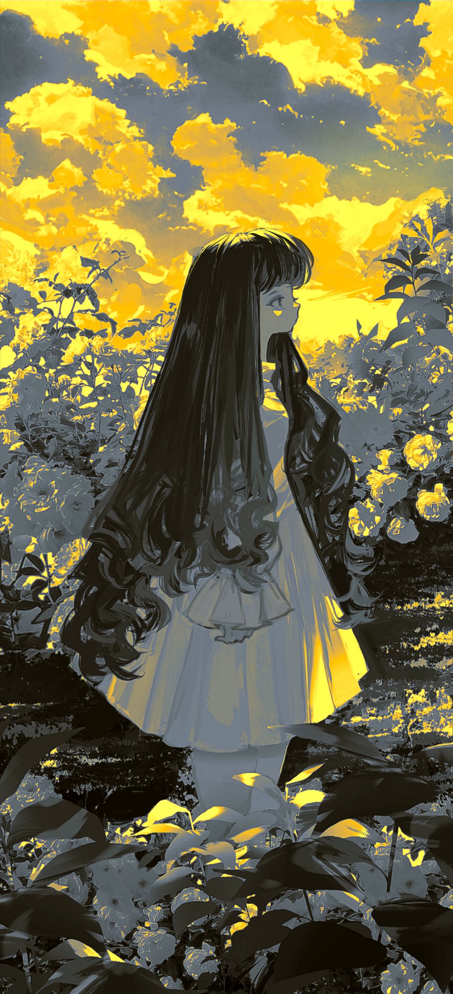 Image #76