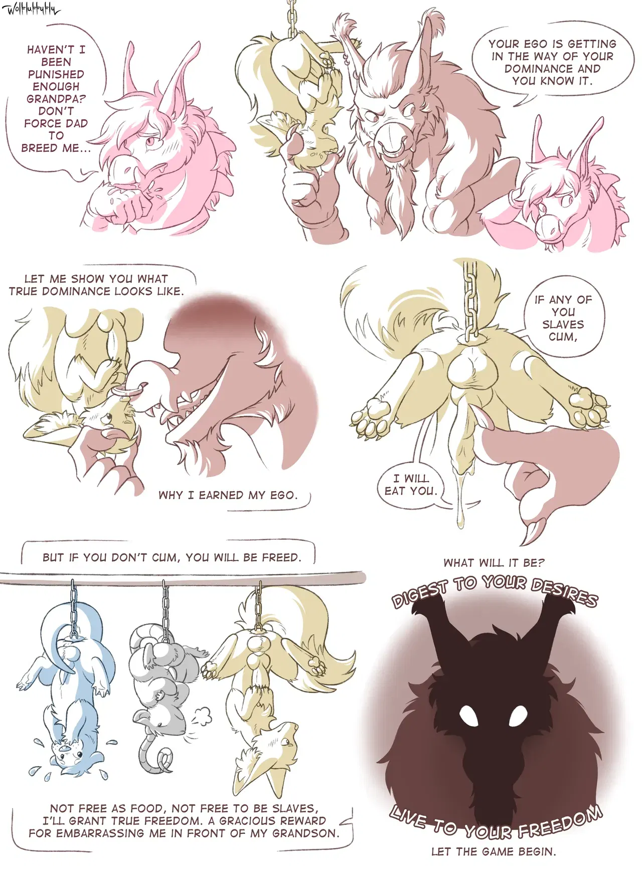 Image #12