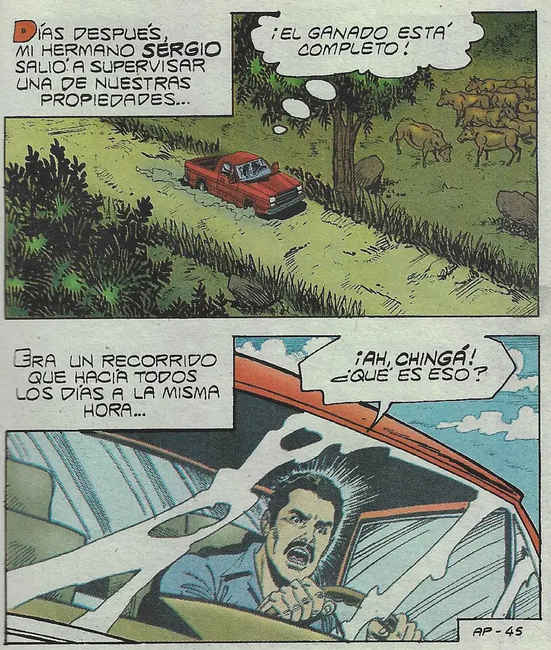 Image #46
