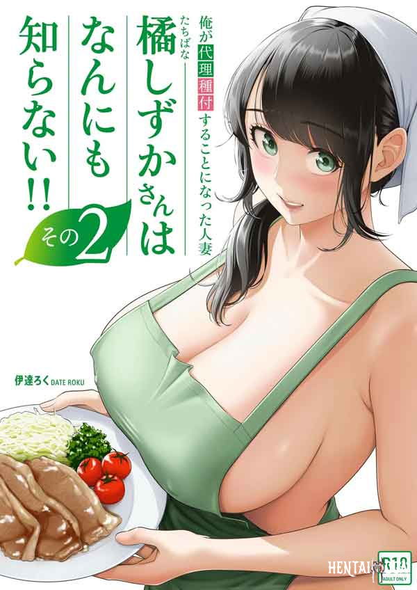 A Dona de Casa Shizuka Tachibana – Parte 2 (BR) - Brasil Special - Galeria Hentai - Image 1