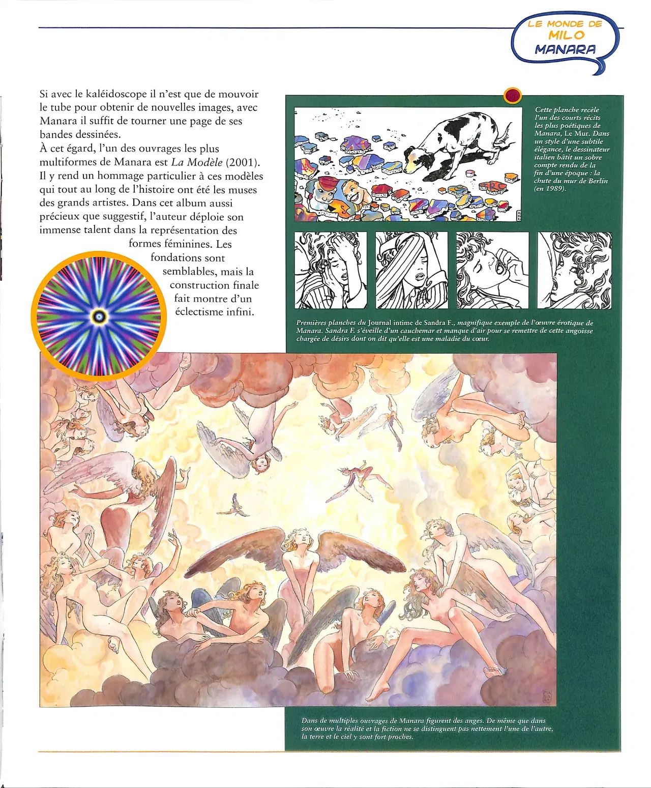 Image #5