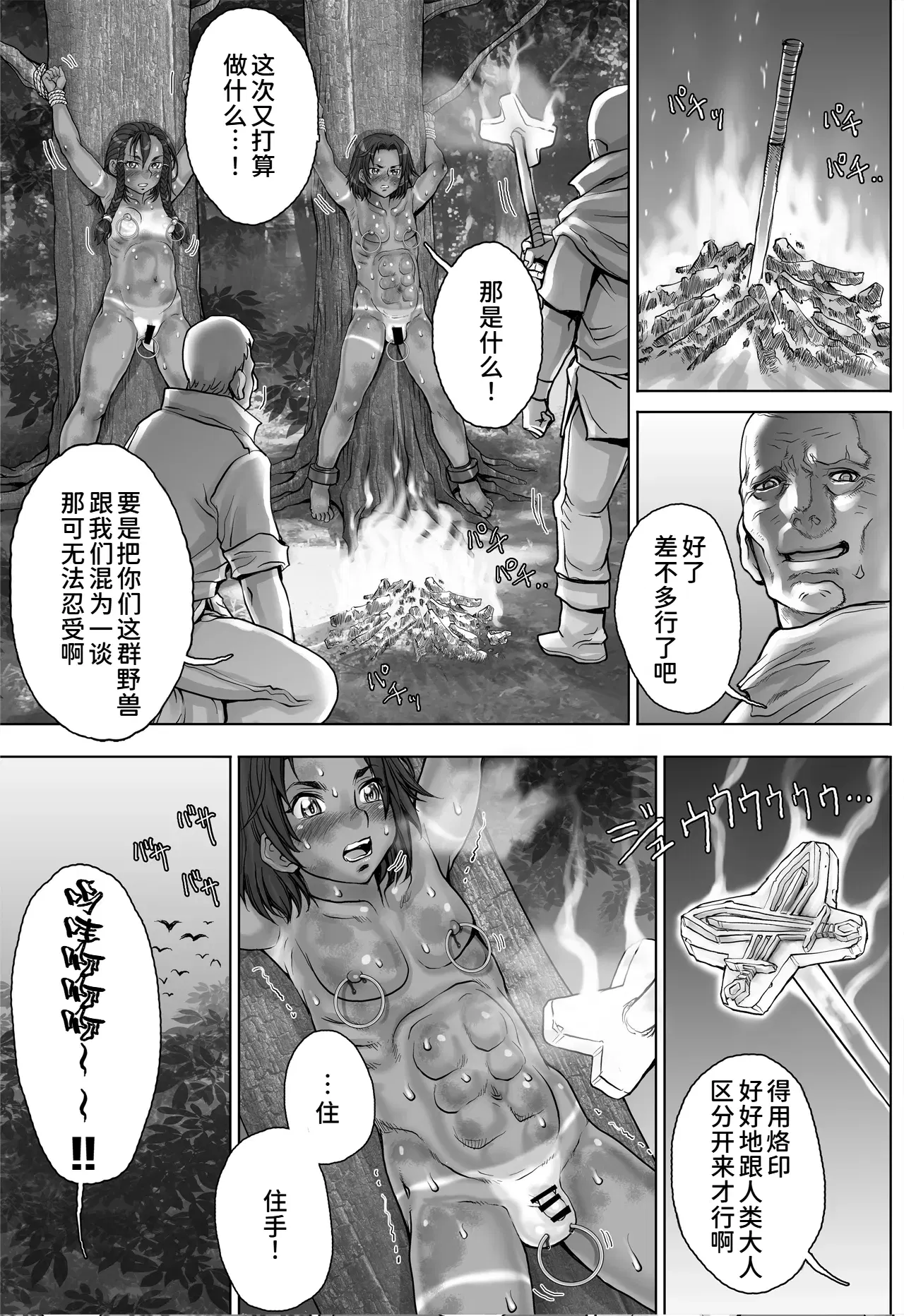 Image #15