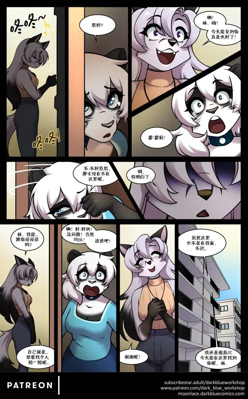 Image #11