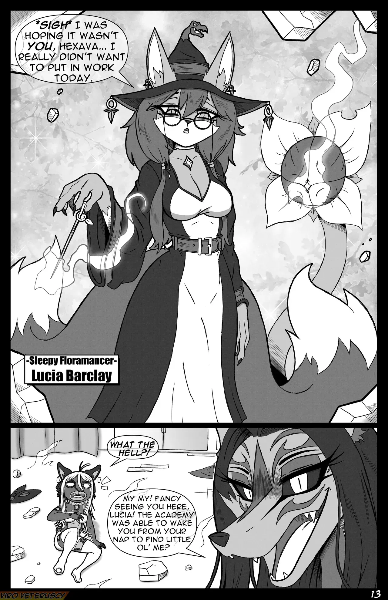 Image #14