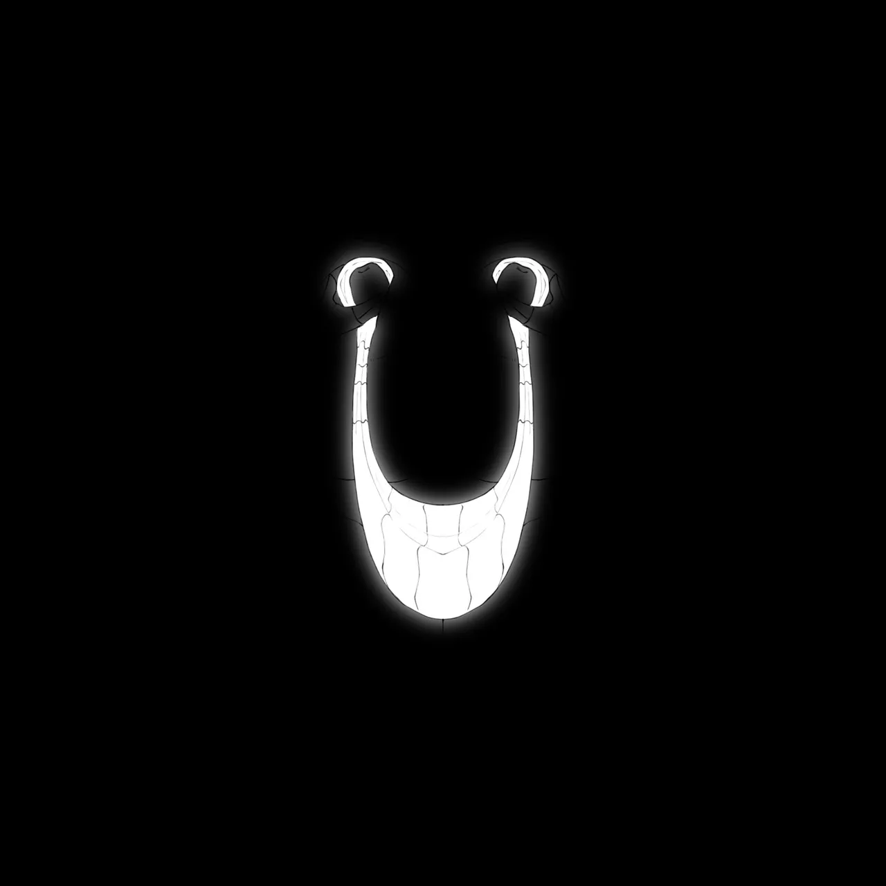 Image #34