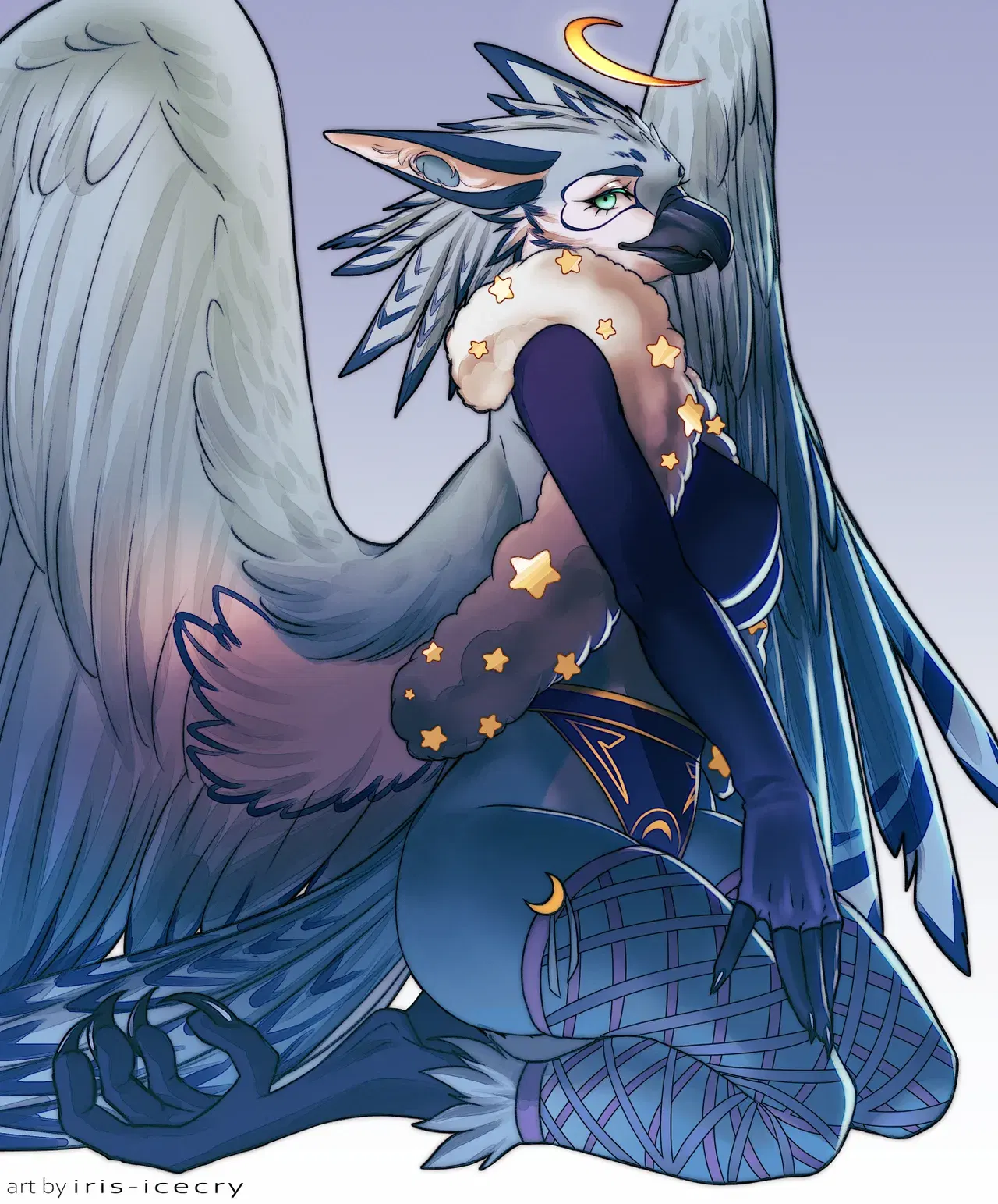 Image #12