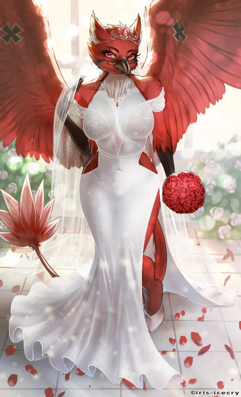 Image #62