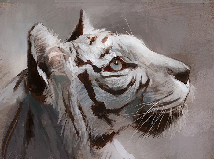 Image #155