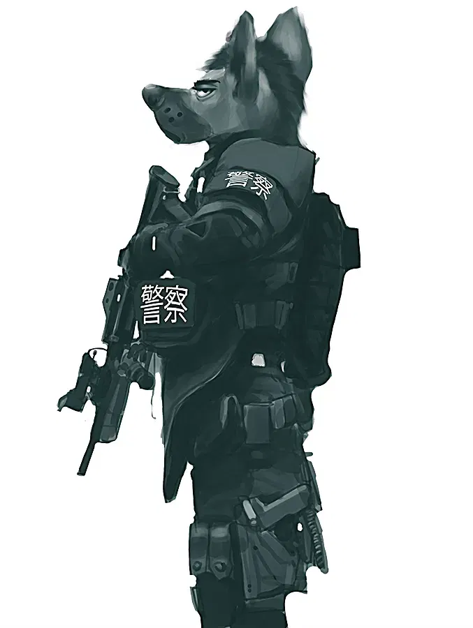 Image #260