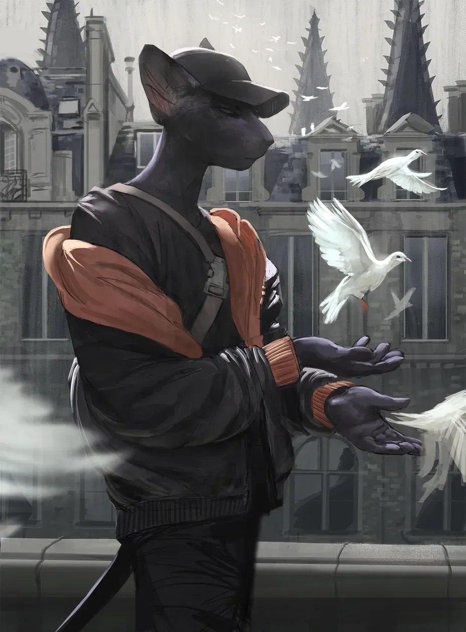 Image #47