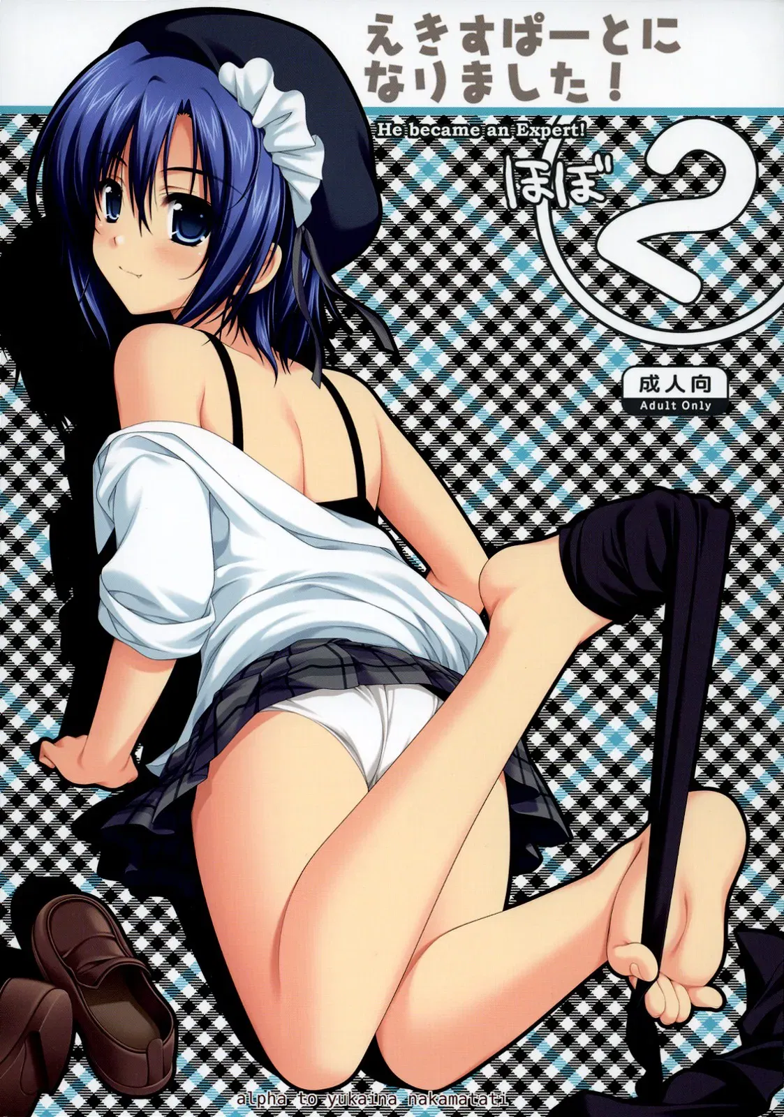 (C74) ) «أصبحت خبيرًا!» الجزء الثاني (باللغة الإنجليزية) (نسخ ممسوحة ضوئيًا) - معرض هنتاي - Image 1