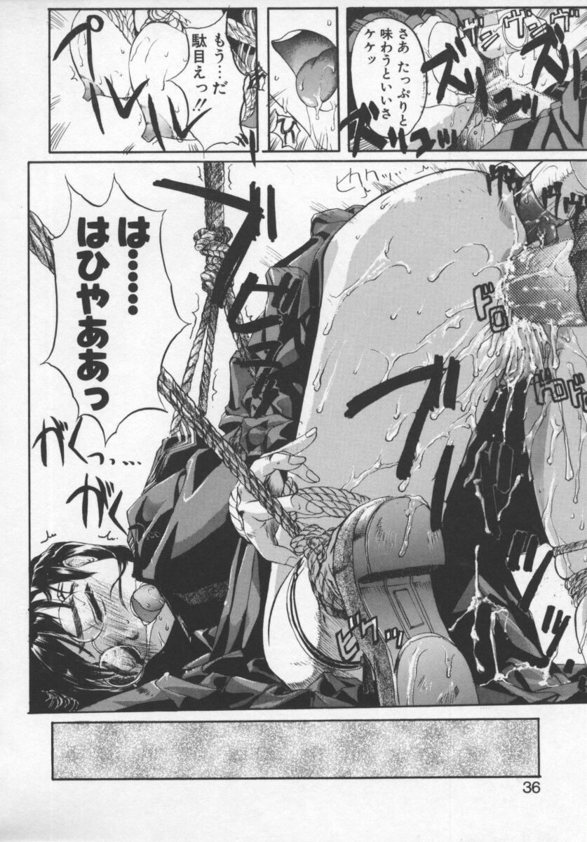 Image #14