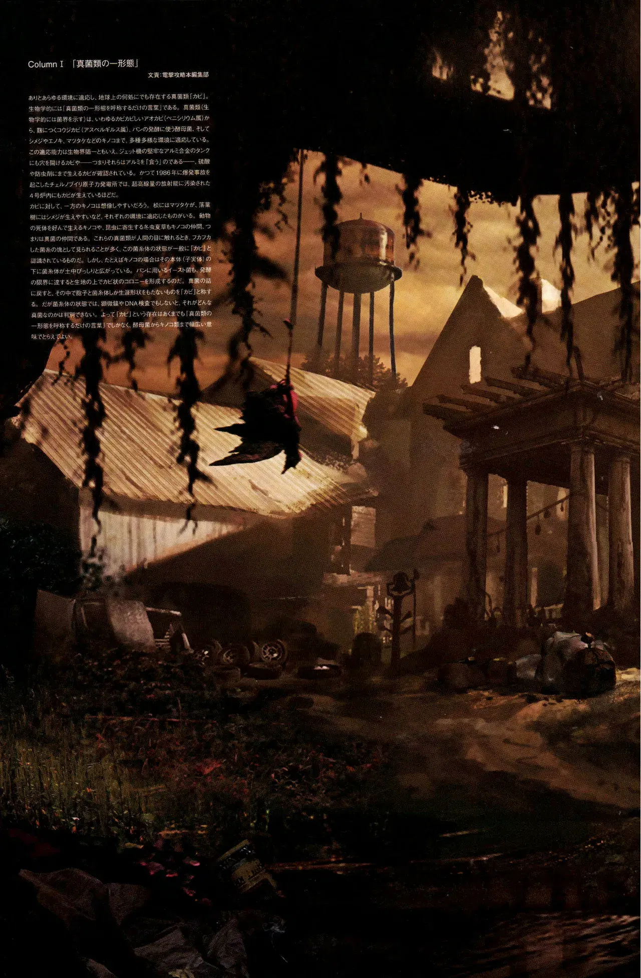 Image #14