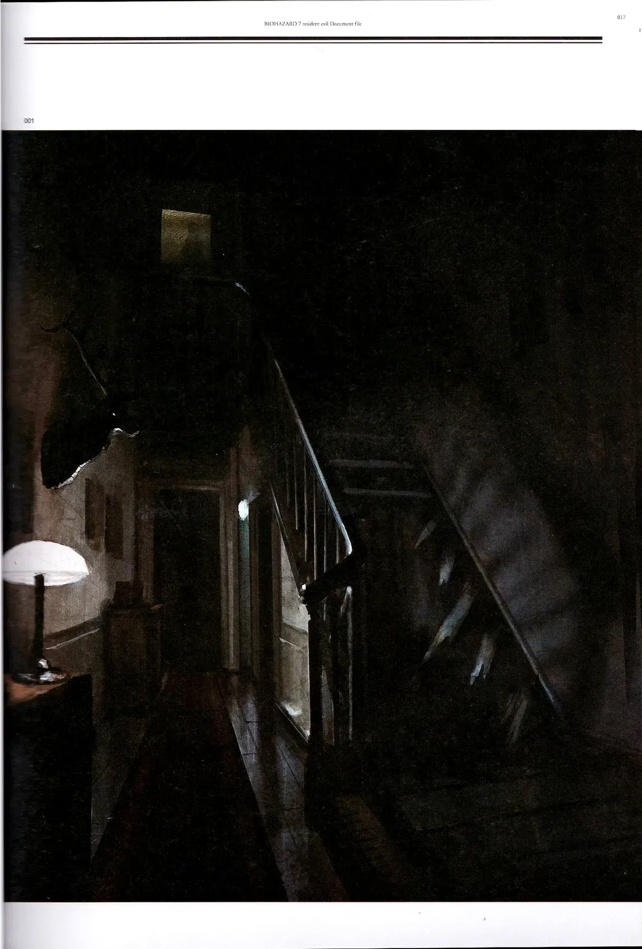 Image #17